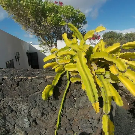 Bitte Loeschen Playa Blanca (Lanzarote)